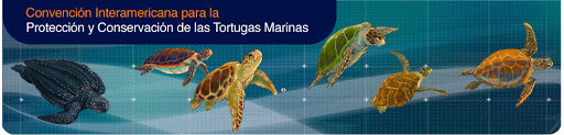 Convención Interamericana para la protección y Conservación de las Tortugas Marinas - CIT