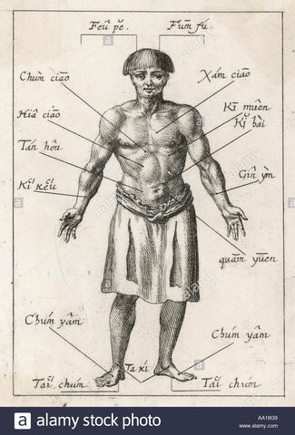 Medicina Tradicional China.