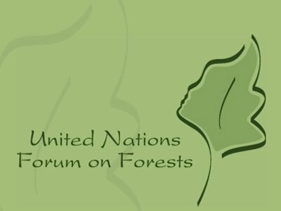 Foro de Naciones Unidas sobre Bosques
