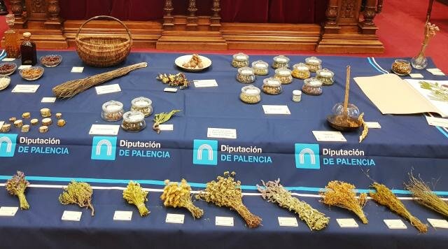 Medicina Natural (Naturopatía).