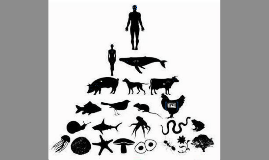 HUMANISMO ANTROPOCÉNTRICO