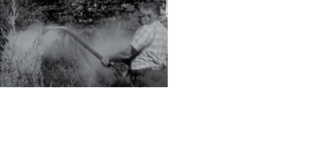 POLUCIÓN QUMICA DDT EUA