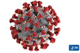 El coronavirus COVID-19