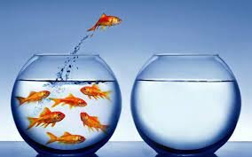 INDEPENDENCIA E INICIATIVA