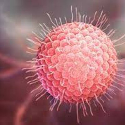 Timeline: HISTORIA DE LA MICROBIOLOGIA