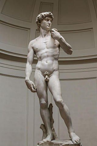 David - Miguel Angel