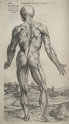 Avances científicos