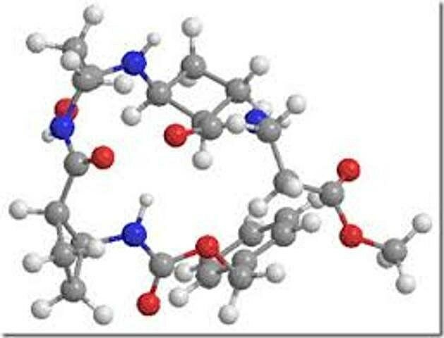 Robert W. Holley aísla los tRNA, moléculas que incorporan los aminoácidos activados en las proteínas.