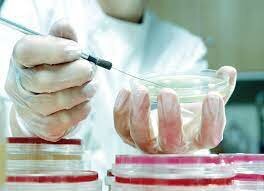 Robert Gallo y Luc Montagnier llevan a cabo el aislamiento e identificación del virus del sida.