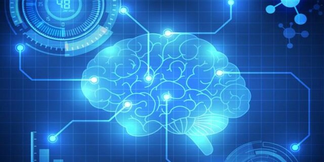 Problemáticas sociales, económicas o políticas más relevantes.