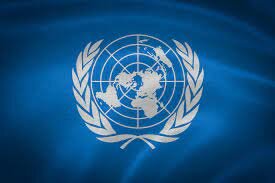 Influencias de organismos internacionales