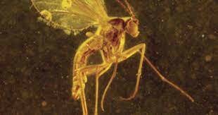 400 milions d'anys de l'aparició d'insectes i llavors.