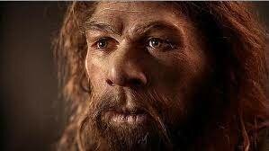 40.000 anys des de l'extinció dels Neanderthals.