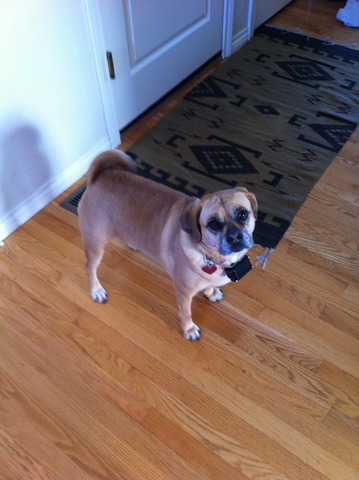 Kaya meets her Best Friend Maddie