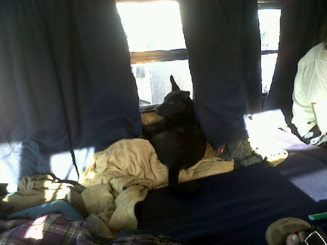 Kaya's First Road Trip