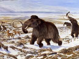 13.000 anys a.C desapareixen les últimes espècies de la "megafauna"