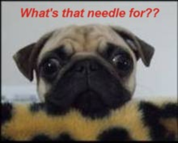 Kayanite's First Shots