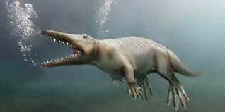 Ambulocetus Natan - 49 MYA