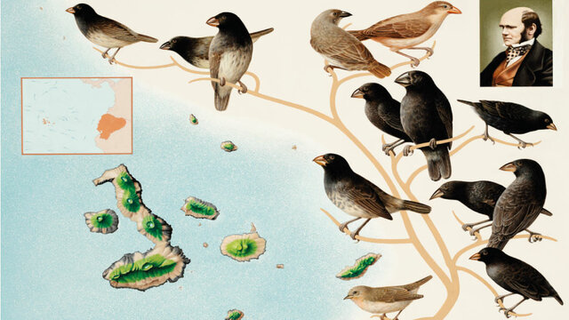 Arrival to Galapagos