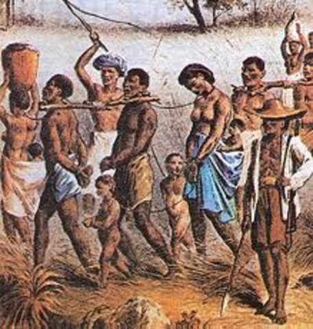 Africans arrive in the New World