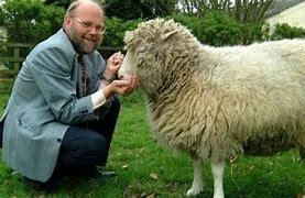 HECHOS CULTURALES Y CIENTIFICOS