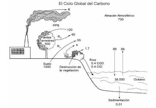 Modelo para el intercambio global de carbono
