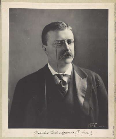 THEODORE ROOSEVELT ELECTED PRESIDENT