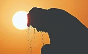 2020 empató como el año más caluroso jamás registrado