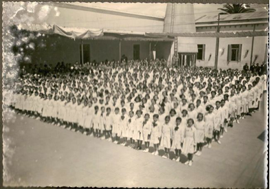 Ley de Educación Común