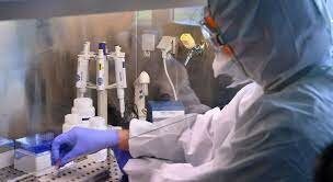 Inicios creación VACUNA COVID-19