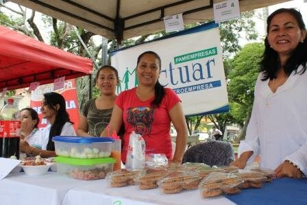 Ley 590. Artículo 2o. Definiciones