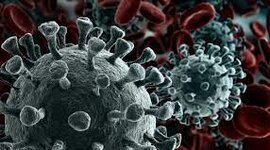 Timeline: La Evolución del Covid-19 en el Mundo