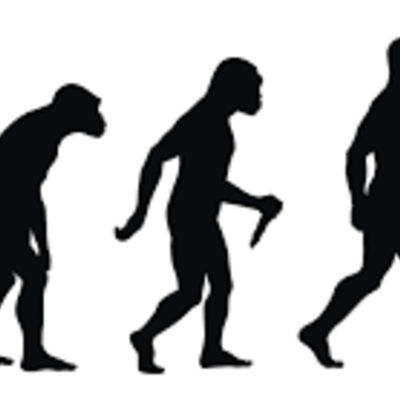 Timeline: Evolucion del hombre