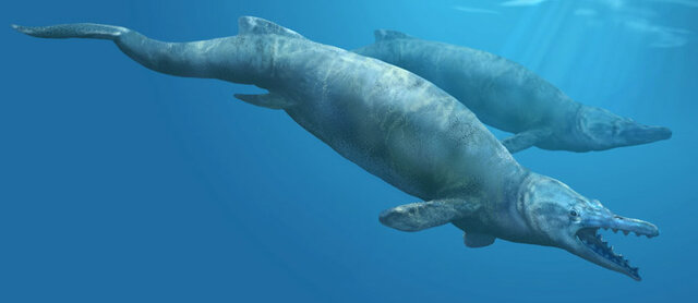 Basilosaurous
