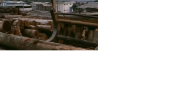 DEFORESTACION BOSQUES TROPICALES