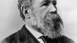 Timeline: Week 3 Timeline 1