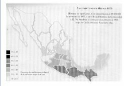 9 millones de alumnos cursando educación primaria