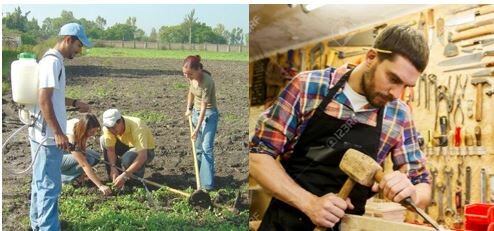 Escuelas para la capacitación en el trabajo industrial y agropecuario