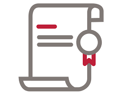 Educación Media y Superior