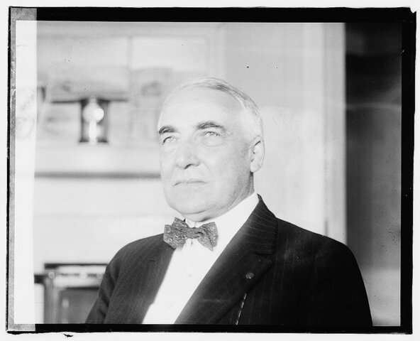 WARREN G. HARDING ELECTED PRESIDENT