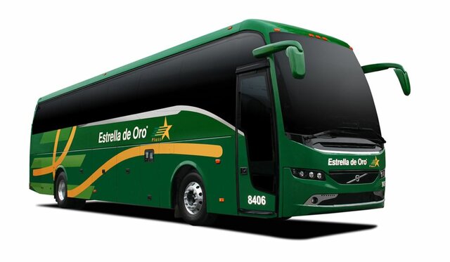 Adquiere Estrella de Oro