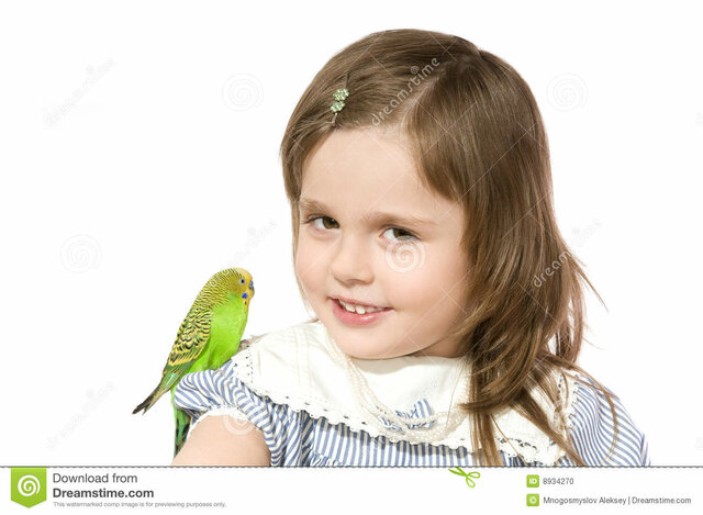 LIKE A PARROT