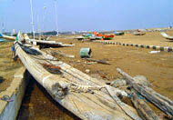 Tsunamis destroyed tens of thousands of fishing boats