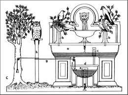 Font d'ocells cantors