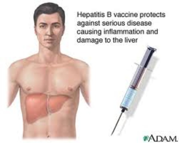 Vaccine Against Viral Hepatitis