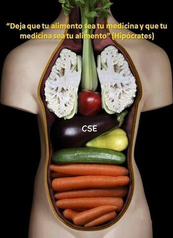 Reconocimiento de la importancia de la alimentación