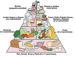 Primera pirámide alimentaria