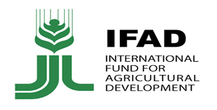 Creación de IFAD