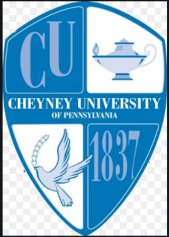 The African Institute