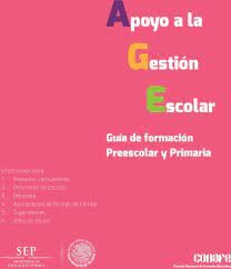 Programa denominado Apoyo a la Gestión Escolar (AGE).